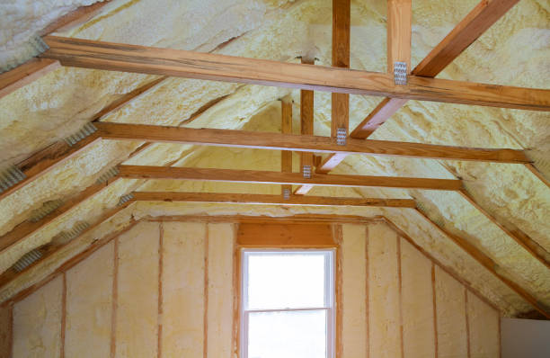 Best Insulation Maintenance and Repair in Freeport, IL