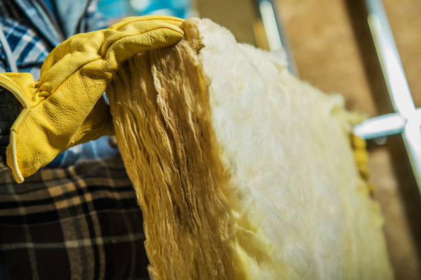 Best Specialized Insulation Services in Freeport, IL